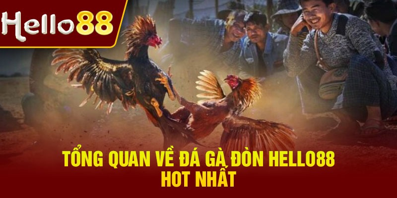 Tổng quan về đá gà đòn Hello88 hot nhất
