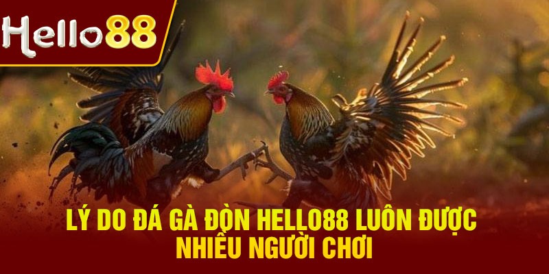 Lý do đá gà đòn Hello88 luôn được nhiều người chơi