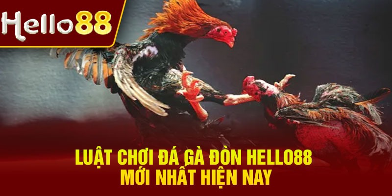 Luật chơi đá gà đòn Hello88 mới nhất hiện nay