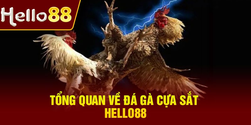 Tổng quan về đá gà cựa sắt Hello88