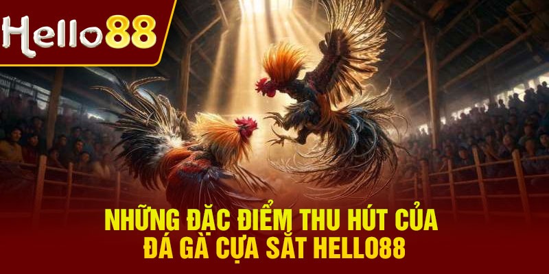 Những đặc điểm thu hút của đá gà cựa sắt Hello88