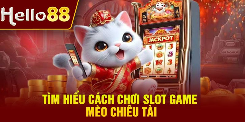 Tìm hiểu cách chơi slot game mèo chiêu tài